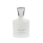عطر جیبی برندینی مدل Silver Mountain حجم 33 میلی لیتر