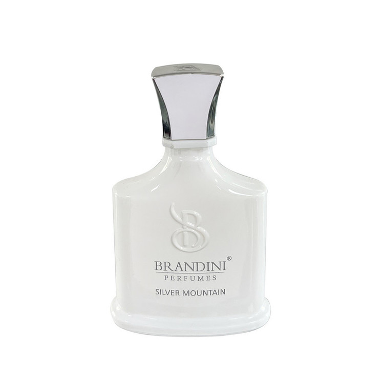 عطر جیبی برندینی مدل Silver Mountain حجم 33 میلی لیتر