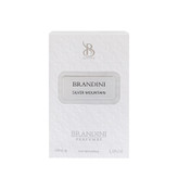 عطر جیبی برندینی مدل Silver Mountain حجم 33 میلی لیتر