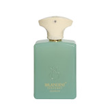 عطر جیبی برندینی مدل Search حجم 33 میلی لیتر