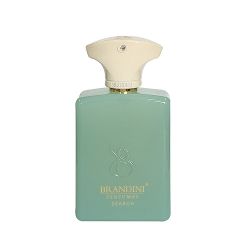 عطر جیبی برندینی مدل Search حجم 33 میلی لیتر