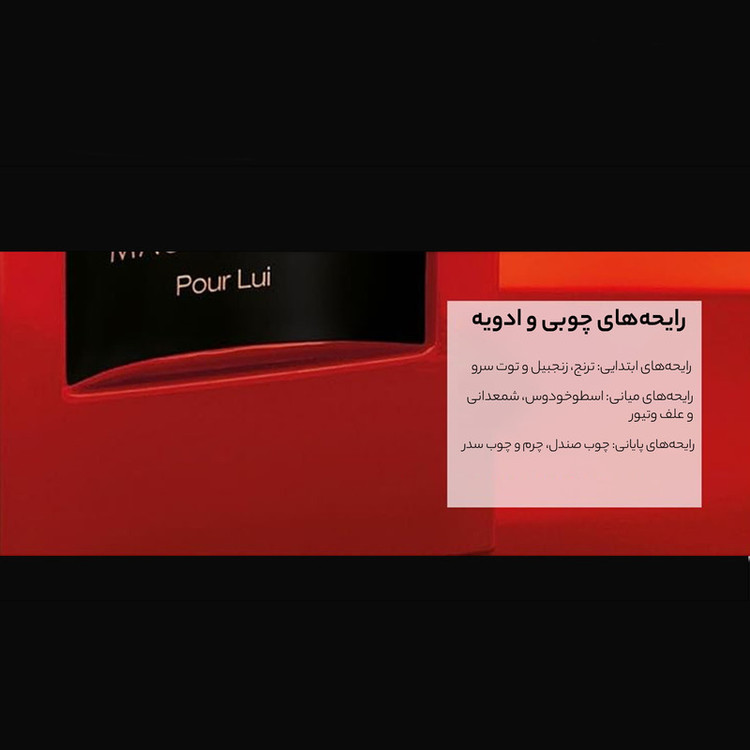 ادو پرفیوم مردانه مابوسین مدل Lui با رایحه گرم حجم 100 میلی لیتر