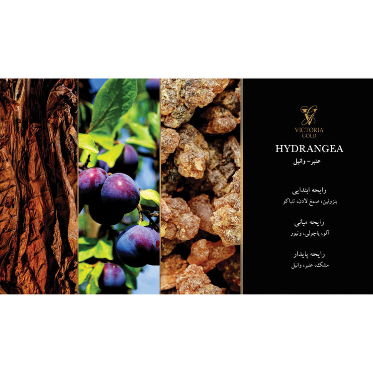 ادوپرفیوم زنانه ویکتوریا گلد مدل HYDRANGEA حجم 100 میلیلیتر
