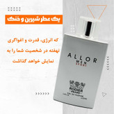 ادو پرفیوم مردانه رودیر مدل ALLOR MEN SPORT حجم 100 میلی لیتر