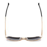 عینک آفتابی خلبانی (Aviator) مردانه آلبرت وگ مدل JS8554C84-P120