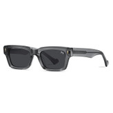 عینک آفتابی مستطیلی آلبرت وگ مدل S32108C3 Acetate Avantgarde Visionary