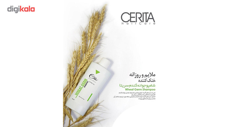 پک فوم کاشت مو و شامپو جوانه گندم سریتا مدل Hair مجموعه 2 عددی