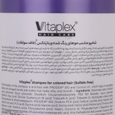 شامپو تثبیت کننده رنگ مو ویتاپلکس مدل CC01 مناسب موهای رنگ شده حجم 500 میلی لیتر