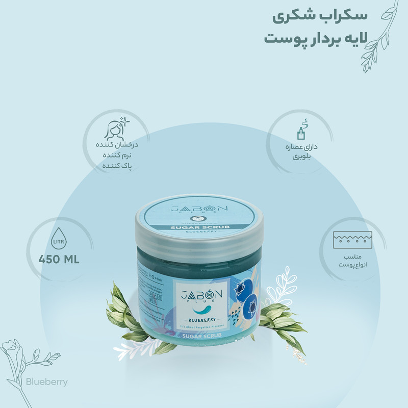 اسکراب شکری لایه بردار پوست ژبن پلاس مدل Blueberry وزن 450 گرم