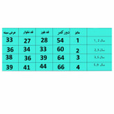 ست تیشرت آستین کوتاه و شلوارک دخترانه مدل نگین دار